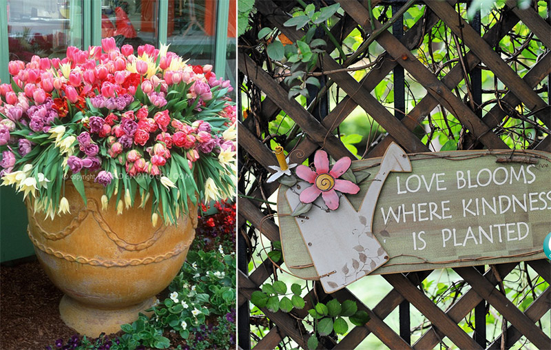 优发国际·随优而动一触即发