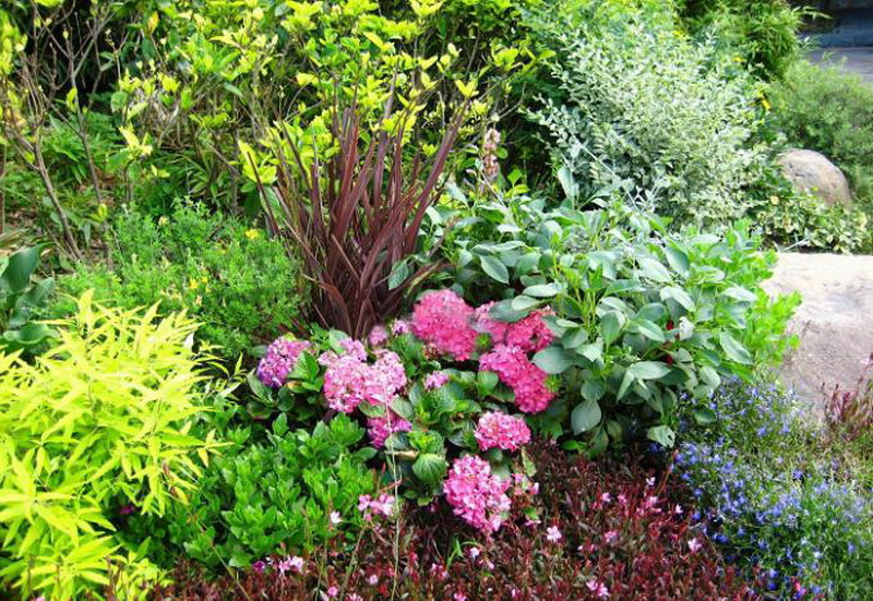 优发国际·随优而动一触即发