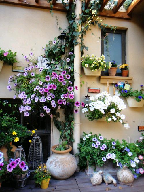 优发国际·随优而动一触即发